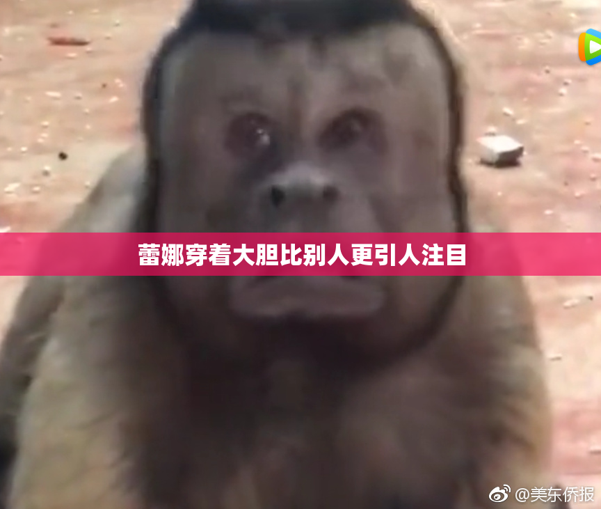 蕾娜穿着大胆比别人更引人注目