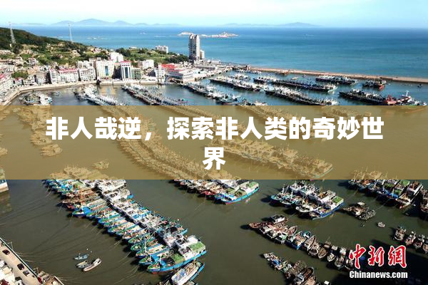非人哉逆，探索非人类的奇妙世界