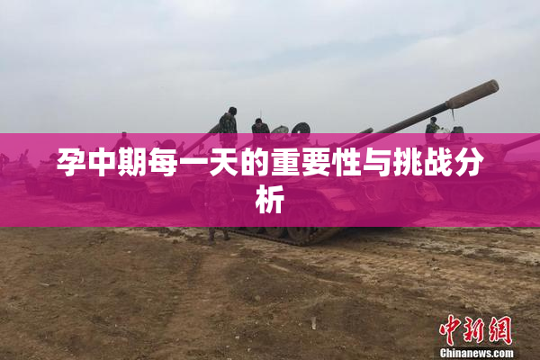 孕中期每一天的重要性与挑战分析