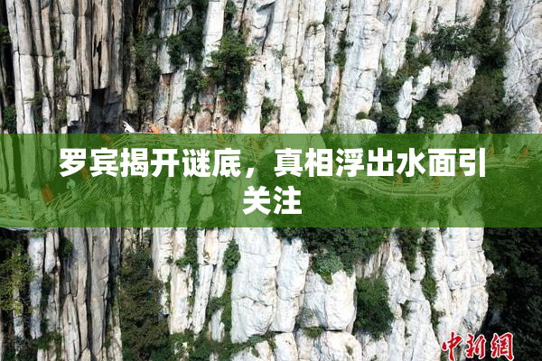 罗宾揭开谜底，真相浮出水面引关注