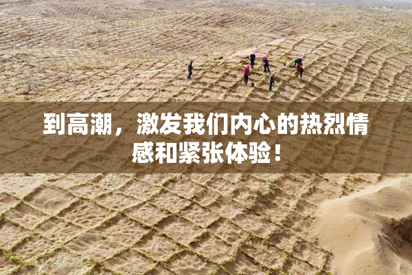 到高潮，激发我们内心的热烈情感和紧张体验！