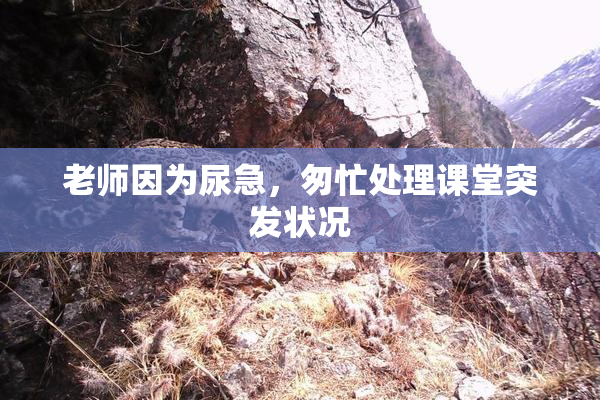 老师因为尿急，匆忙处理课堂突发状况