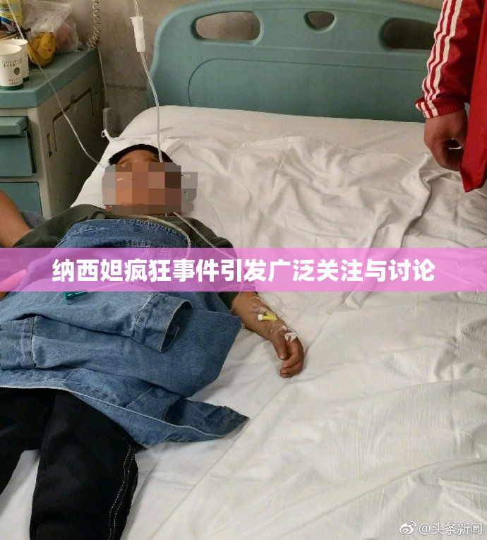 纳西妲疯狂事件引发广泛关注与讨论