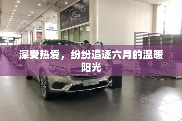 深受热爱，纷纷追逐六月的温暖阳光