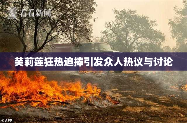 芙莉莲狂热追捧引发众人热议与讨论