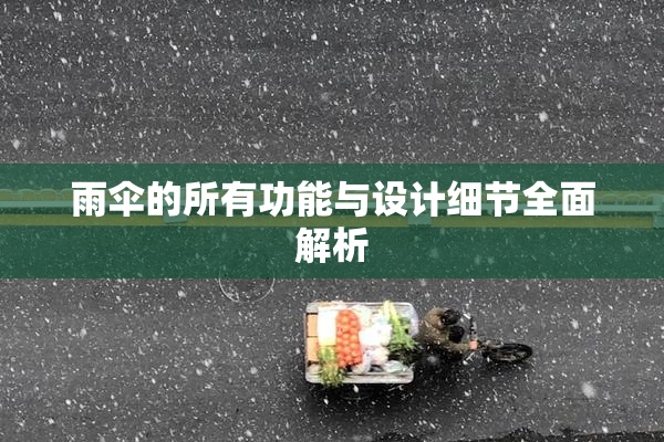 雨伞的所有功能与设计细节全面解析