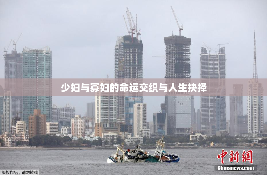 少妇与寡妇的命运交织与人生抉择