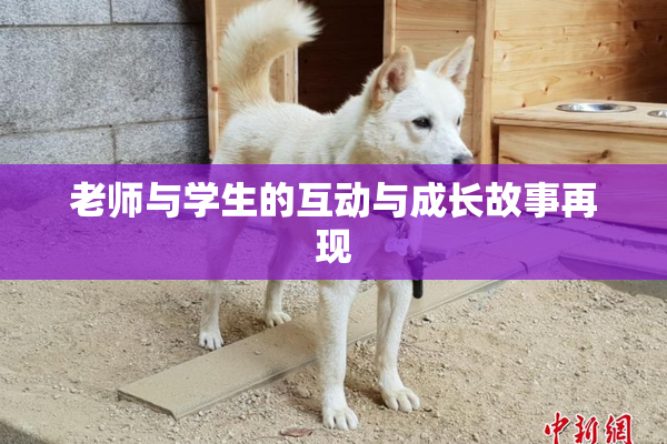 老师与学生的互动与成长故事再现