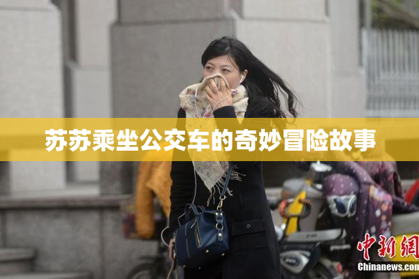 苏苏乘坐公交车的奇妙冒险故事