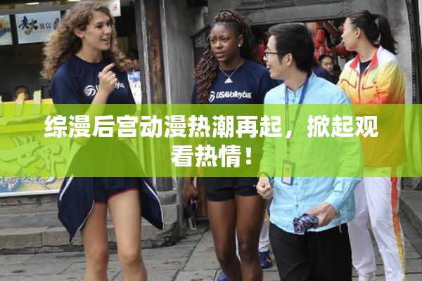 综漫后宫动漫热潮再起，掀起观看热情！