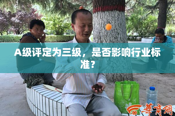 A级评定为三级，是否影响行业标准？