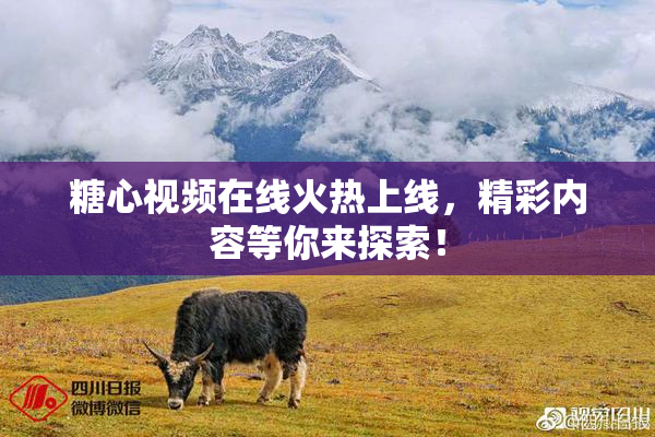 糖心视频在线火热上线，精彩内容等你来探索！