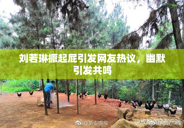 刘若琳撅起屁引发网友热议，幽默引发共鸣