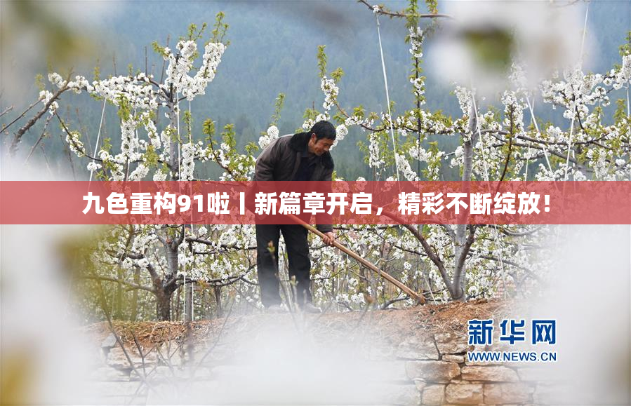 九色重构91啦丨新篇章开启，精彩不断绽放！