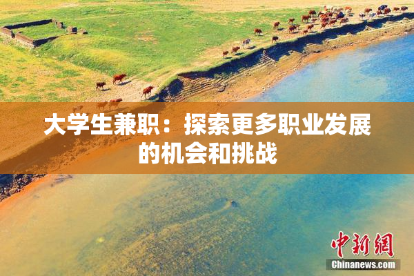 大学生兼职：探索更多职业发展的机会和挑战
