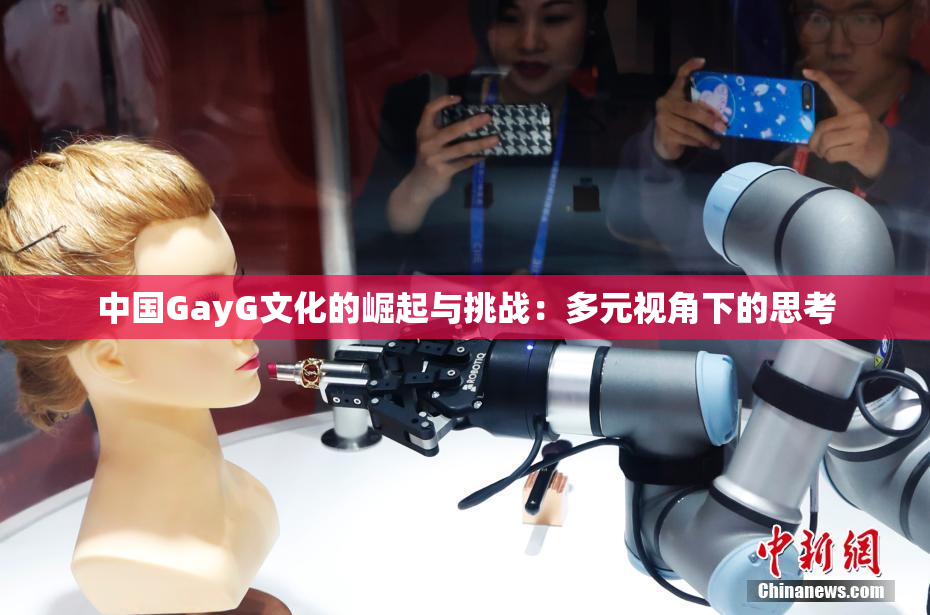 中国GayG文化的崛起与挑战：多元视角下的思考