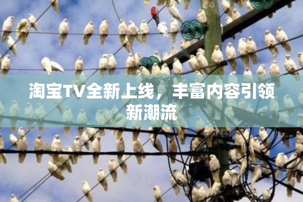 淘宝TV全新上线，丰富内容引领新潮流