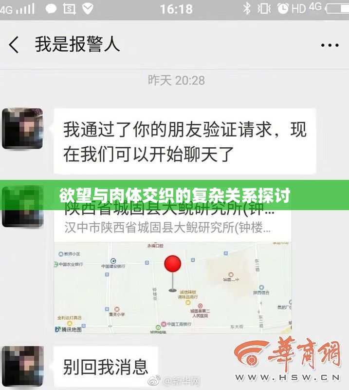 欲望与肉体交织的复杂关系探讨