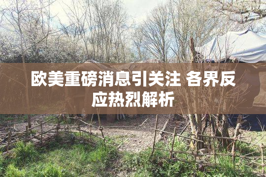 欧美重磅消息引关注 各界反应热烈解析