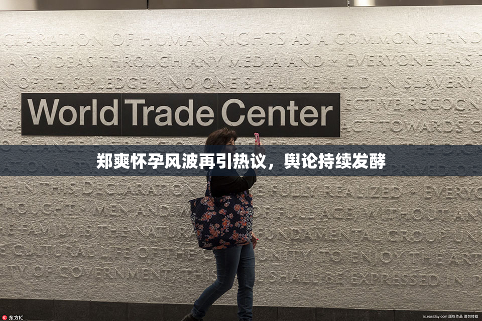 郑爽怀孕风波再引热议，舆论持续发酵