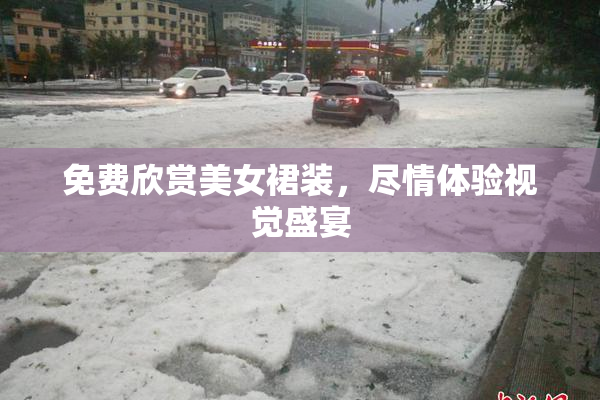 免费欣赏美女裙装，尽情体验视觉盛宴