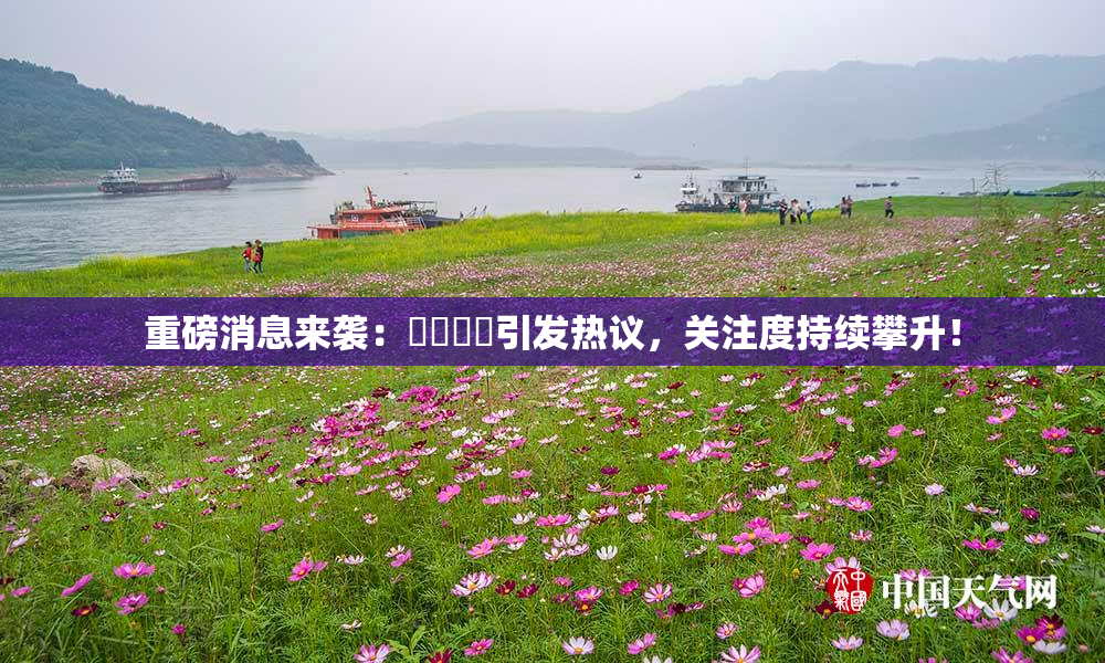 重磅消息来袭：馃悢馃悢引发热议，关注度持续攀升！