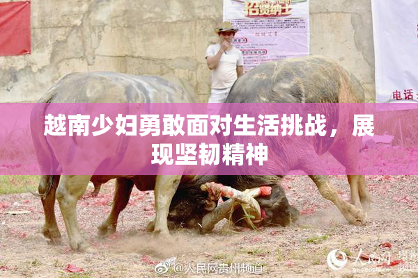 越南少妇勇敢面对生活挑战，展现坚韧精神