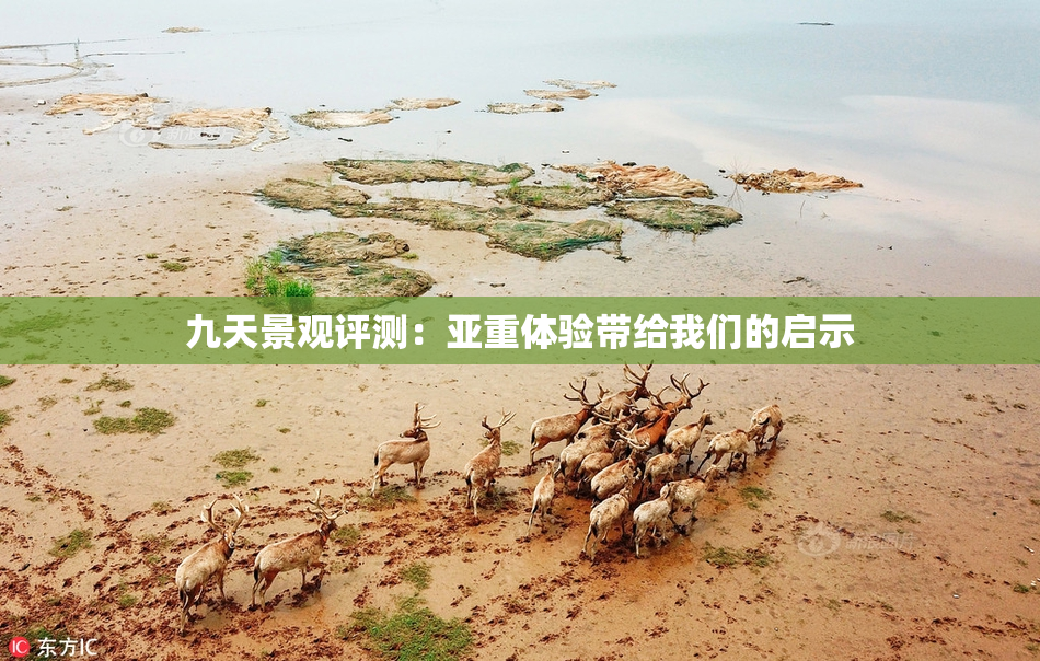 九天景观评测：亚重体验带给我们的启示