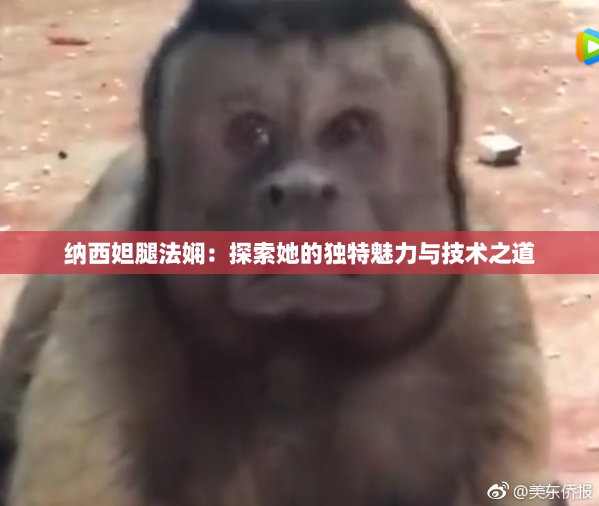 纳西妲腿法娴：探索她的独特魅力与技术之道