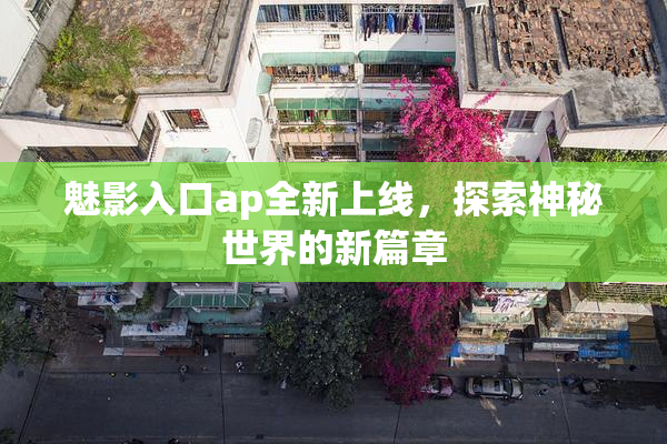 魅影入口ap全新上线，探索神秘世界的新篇章