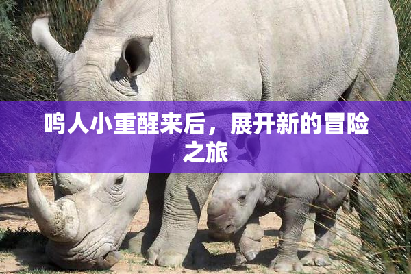 鸣人小重醒来后，展开新的冒险之旅