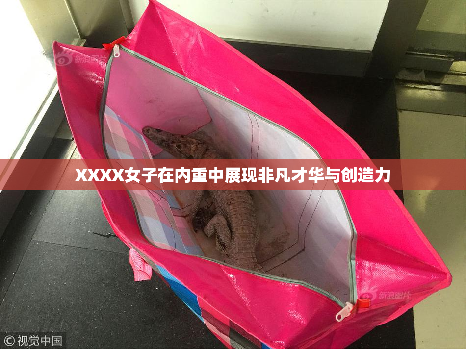 XXXX女子在内重中展现非凡才华与创造力