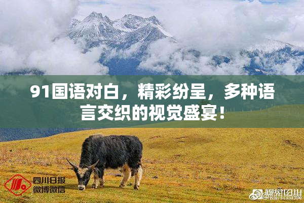 91国语对白，精彩纷呈，多种语言交织的视觉盛宴！