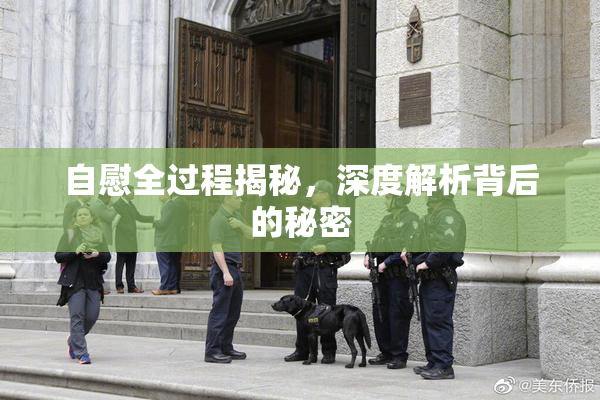 自慰全过程揭秘，深度解析背后的秘密