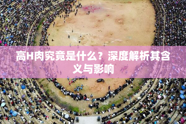 高H肉究竟是什么？深度解析其含义与影响