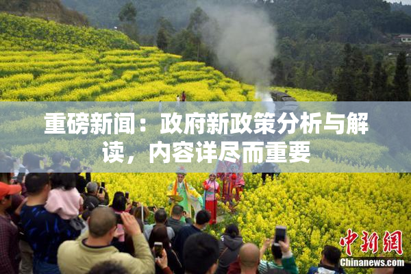 重磅新闻：政府新政策分析与解读，内容详尽而重要