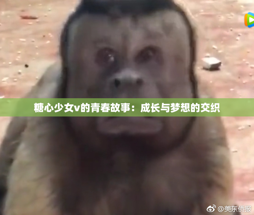 糖心少女v的青春故事：成长与梦想的交织