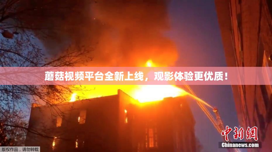 蘑菇视频平台全新上线，观影体验更优质！