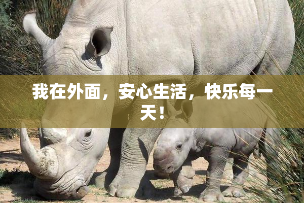 我在外面，安心生活，快乐每一天！