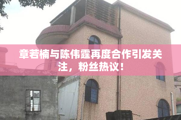 章若楠与陈伟霆再度合作引发关注，粉丝热议！