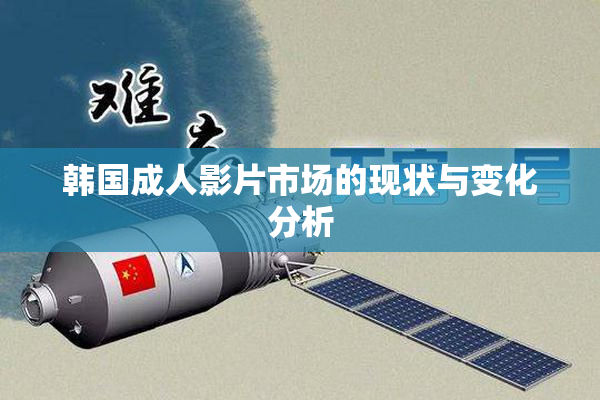 韩国成人影片市场的现状与变化分析