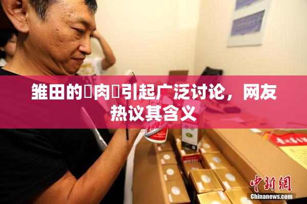 雏田的婬肉泬引起广泛讨论，网友热议其含义