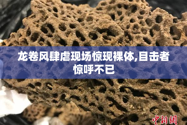 龙卷风肆虐现场惊现裸体,目击者惊呼不已