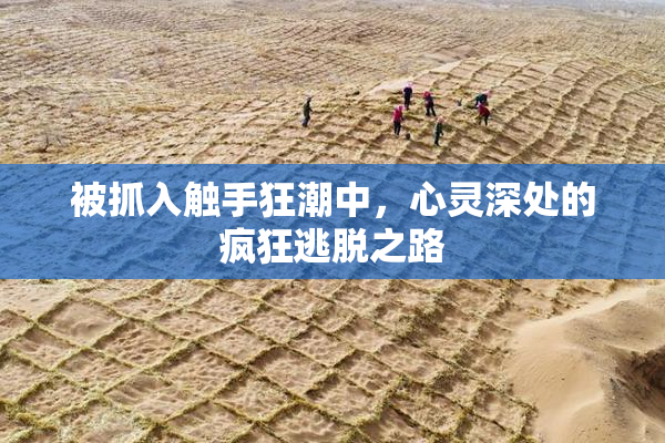 被抓入触手狂潮中，心灵深处的疯狂逃脱之路