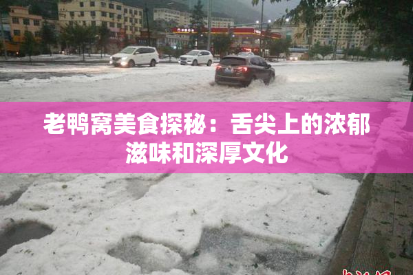 老鸭窝美食探秘：舌尖上的浓郁滋味和深厚文化