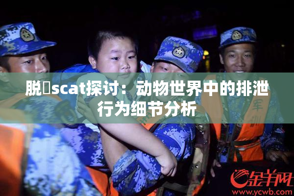 脱糞scat探讨：动物世界中的排泄行为细节分析
