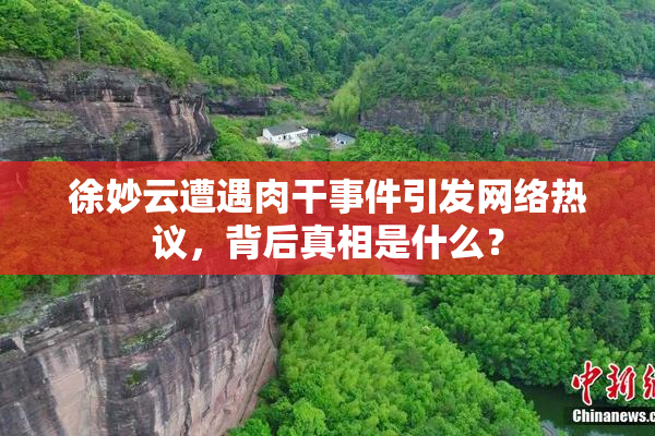 徐妙云遭遇肉干事件引发网络热议，背后真相是什么？