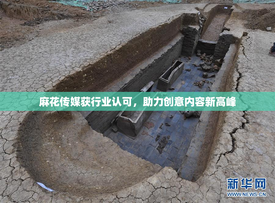 麻花传媒获行业认可，助力创意内容新高峰