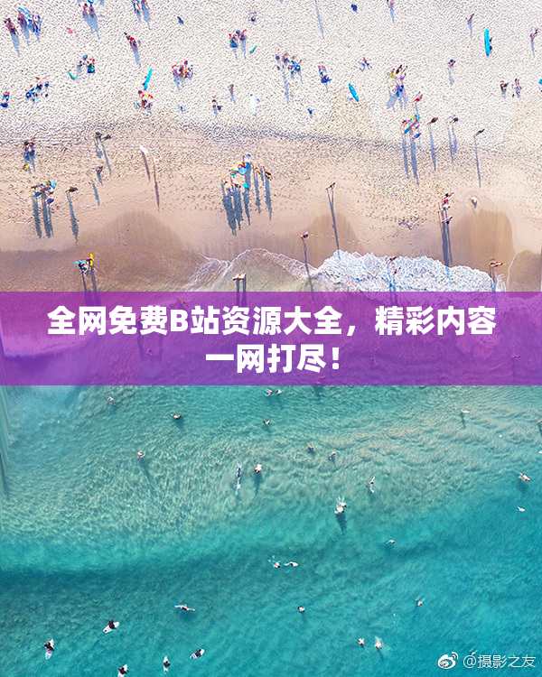 全网免费B站资源大全，精彩内容一网打尽！