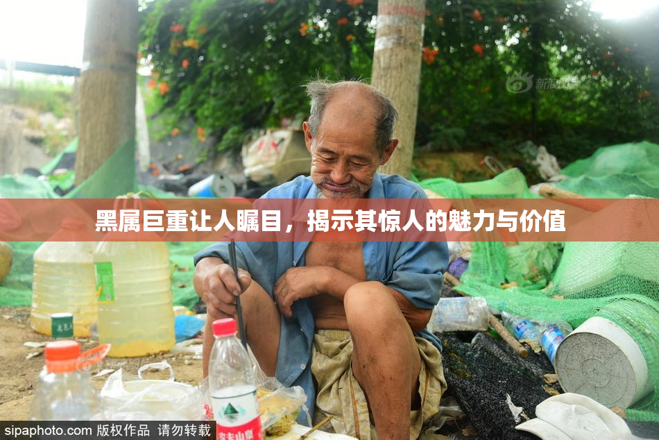 黑属巨重让人瞩目，揭示其惊人的魅力与价值